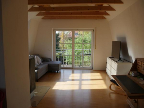 Maisonette-Wohnung in Nürnberg mit Kamin